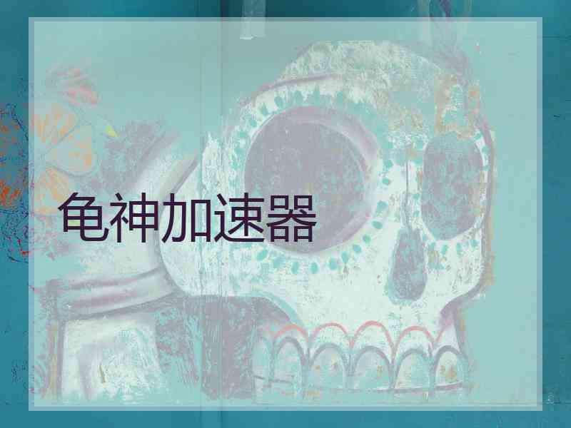 龟神加速器