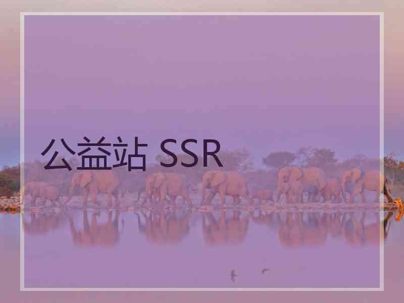 公益站 SSR