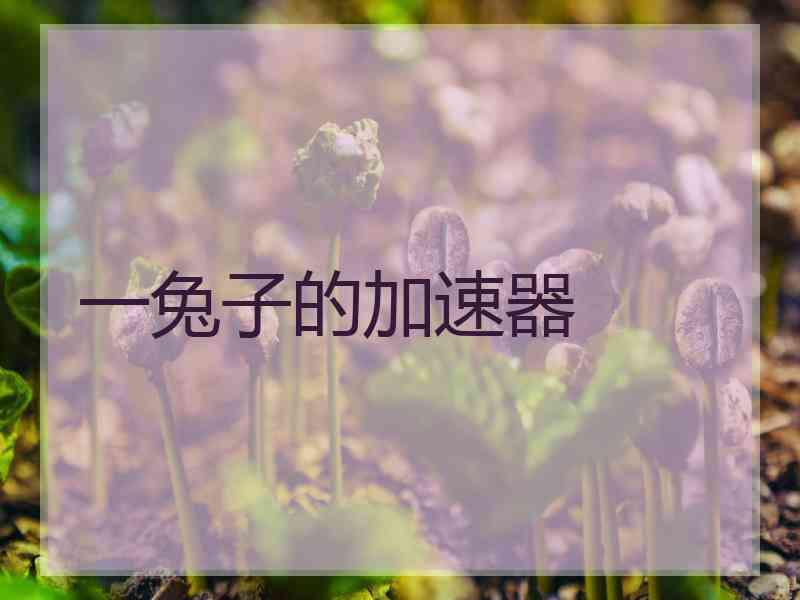 一兔子的加速器