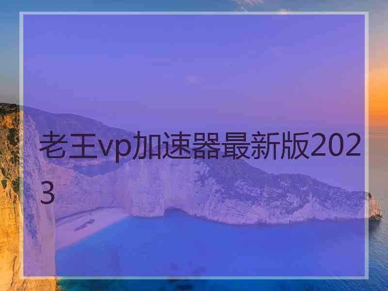 老王vp加速器最新版2023