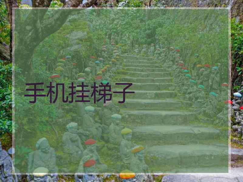 手机挂梯子