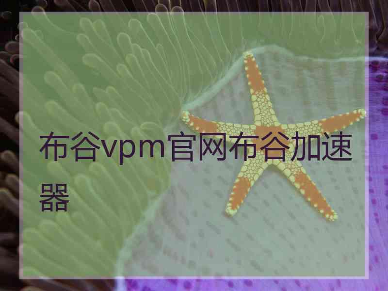 布谷vpm官网布谷加速器
